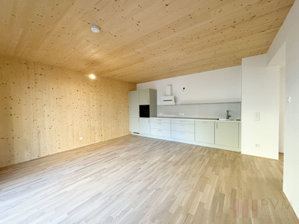 2 - ZIMMER MIT BALKON IN ELISABETH-VORSTADT ERSTBEZUG! 2 - ZIMMER MIT BALKON IN ELISABETH-VORSTADT ERSTBEZUG!