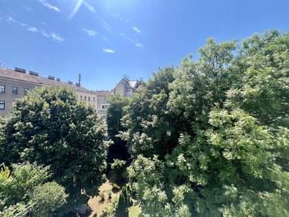 Hofruhelage: Altbauwohnung mit Grünblick! Hofruhelage: Altbauwohnung mit Grünblick!