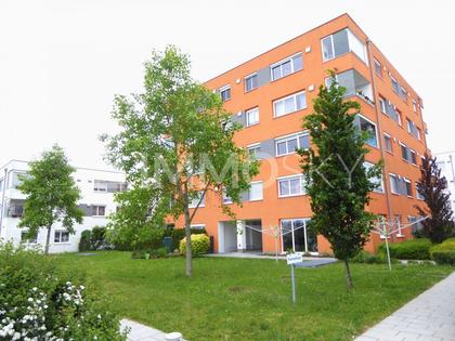 Wohnungen in 4600 Bergerndorf