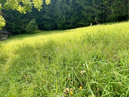 Grundstücke in 8962 Gröbming