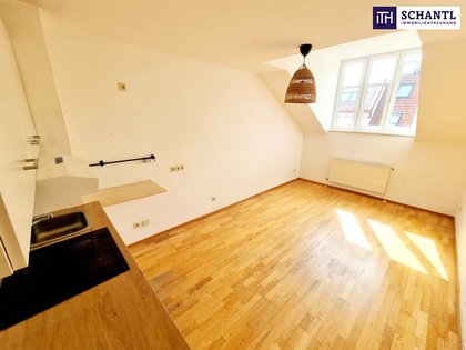 SUMMER SALE! Entzückende Wohnung im Dachgeschoss in Best- und Ruhelage! Mit Sanierungsbedarf oder als Erstbezug nach Sanierung + Rundum saniertes Traumhaus! Jetzt zugreifen! SUMMER SALE! Entzückende Wohnung im Dachgeschoss in Best- und Ruhelage! Mit Sanierungsbedarf oder als Erstbezug nach Sanierung + Rundum saniertes Traumhaus! Jetzt zugreifen!