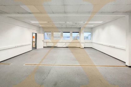 Hallen / Lager / Produktion in 4050 Traun