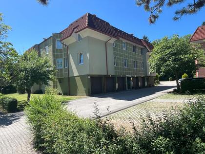 Wohnungen in 3270 Scheibbsbach