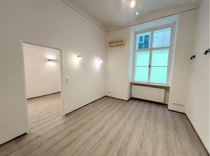 Büros /Praxen in 1010 Wien