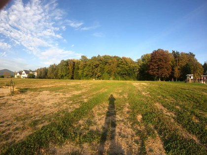 Grundstücke in 8181 Mitterdorf an der Raab