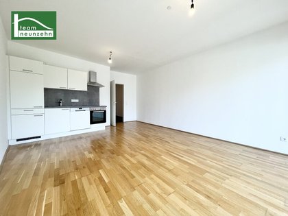 Wohnungen in 8020 17. Puntigam