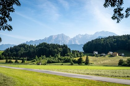 Grundstücke in 5421 Waidach
