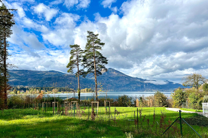 Grundstücke in 5360 Sankt Wolfgang im Salzkammergut