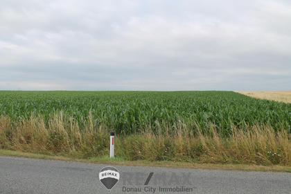 Land- / Forstwirtschaft in 2011 Sierndorf
