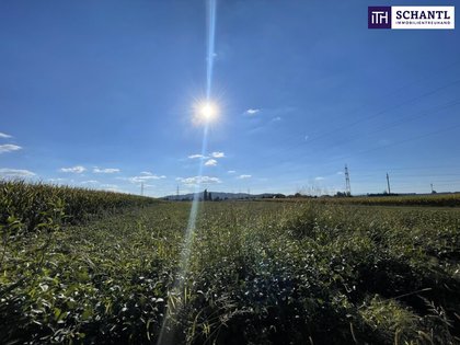 Grundstücke in 8431 Gralla