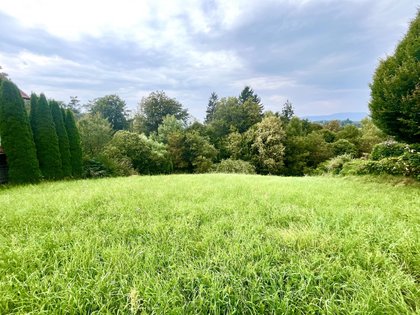 Sonniges Grundstück mit Potenzial nahe Graz Sonniges Grundstück mit Potenzial nahe Graz