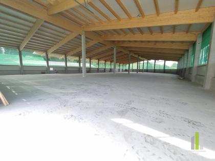 Hallen / Lager / Produktion in 5202 Neumarkt am Wallersee
