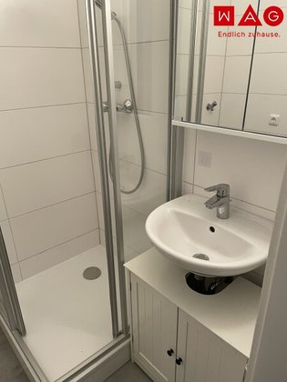 Wohnungen in 4600 Unterschauersberg