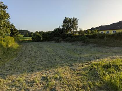 Grundstücke in 3383 Murschratten