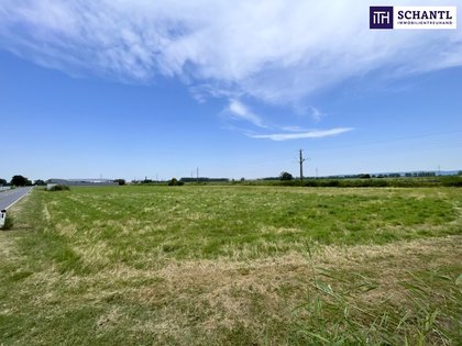 IHRE CHANCE: Betriebsgrundstück I TOP-Lage I Ideal geschnitten I Ortseinfahrt Mitterndorf/Fischa IHRE CHANCE: Betriebsgrundstück I TOP-Lage I Ideal geschnitten I Ortseinfahrt Mitterndorf/Fischa
