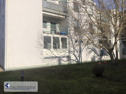 Wohnungen in 2440 Gramatneusiedl