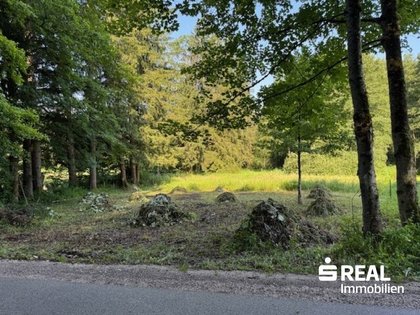 Ihr Traumgrundstück ? 3.035 m² Bauland und Grünland Ihr Traumgrundstück ? 3.035 m² Bauland und Grünland