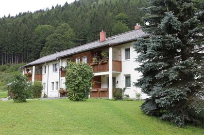 Wohnungen in 8795 Radmer an der Hasel