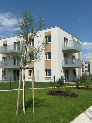 Wohnungen in 2700 Wiener Neustadt