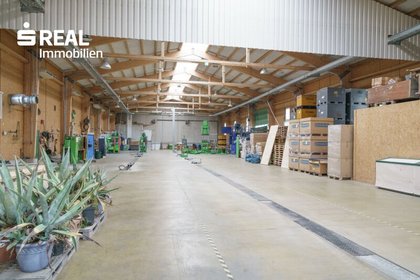 Hallen / Lager / Produktion in 7013 Klingenbach