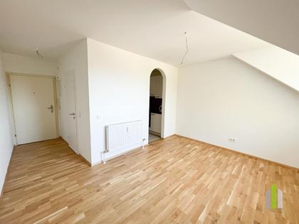 Wohnungen in 5020 Salzburg