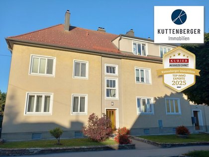 Wohnungen in 2020 Hollabrunn