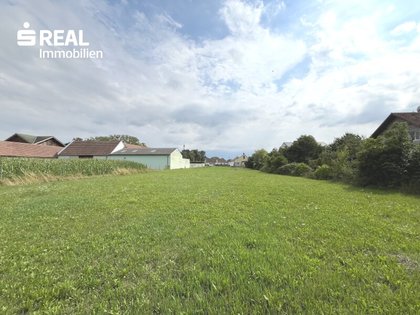 Grundstücke in 3435 Zwentendorf an der Donau