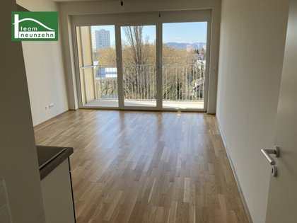 Wohnungen in 8020 17. Puntigam
