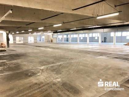Hallen / Lager / Produktion in 4614 Marchtrenk