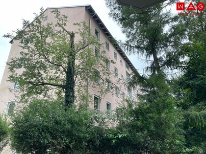 Möblierte Bürofläche (Umnutzung auf Wohnung möglich) im Erdgeschoss ? zentral mitten in Salzburg Möblierte Bürofläche (Umnutzung auf Wohnung möglich) im Erdgeschoss ? zentral mitten in Salzburg