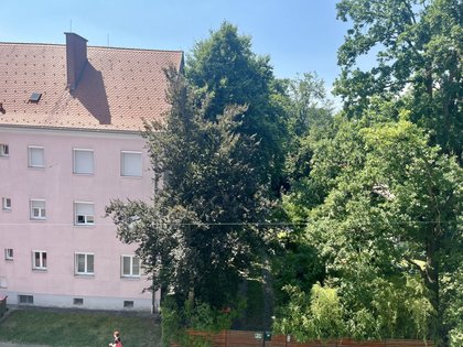 Wohnungen in 8020 14. Eggenberg