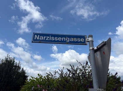 Grundstücke in 3313 Wallsee