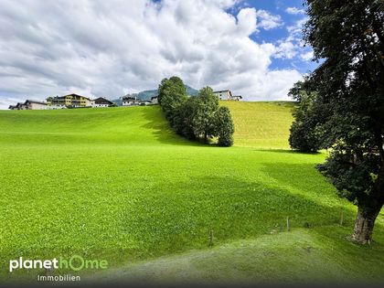 Wohnungen in 6363 Westendorf