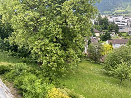 Grundstücke in 9800 Spittal an der Drau