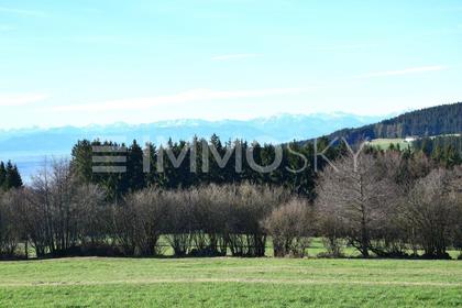 Grundstücke in 4202 Kirchschlag bei Linz