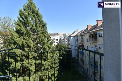 Wohnungen in 8010 01. Innere Stadt