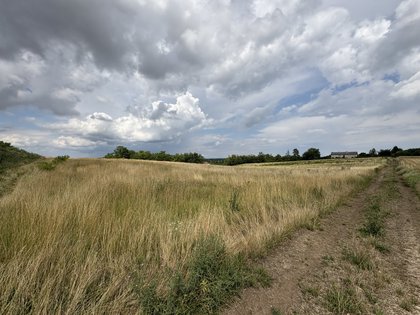 Grundstücke in 2272 Ringelsdorf-Niederabsdorf