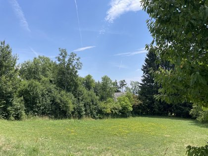 Grundstücke in 8045 Kalkleiten