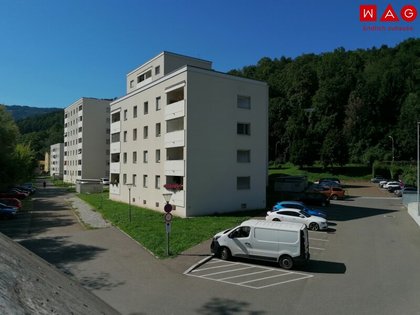 Sanierte und großzügige 2-Zimmer-Wohnung mit Loggia am schönen Murufer!