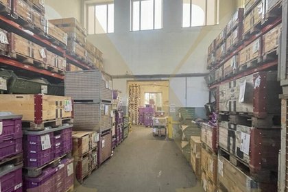 Hallen / Lager / Produktion in 4481 Asten