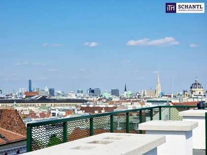 Neuer Preis! Wohnen beim Spittelberg! Rarität in 1070 Wien! Traumblick + Traumwohnung + Beste Lage im Herzen von Wien + Ideale Raumaufteilung! Nicht zögern!