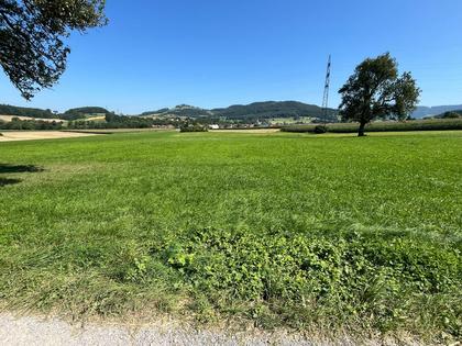 Land- / Forstwirtschaft in 3241 Kirnberg an der Mank