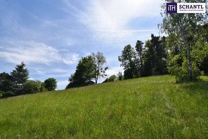 IDYLLE PUR! TRAUMHAFTER BAUGRUND Graz-St. Veit in absoluter Ruhelage! In einer Sackgasse gelegen und von der grünen Natur umgeben - SENSATIONELLER AUSBLICK! Jetzt anfragen und Details anfordern! IDYLLE PUR! TRAUMHAFTER BAUGRUND Graz-St. Veit in absoluter Ruhelage! In einer Sackgasse gelegen und von der grünen Natur umgeben - SENSATIONELLER AUSBLICK! Jetzt anfragen und Details anfordern!