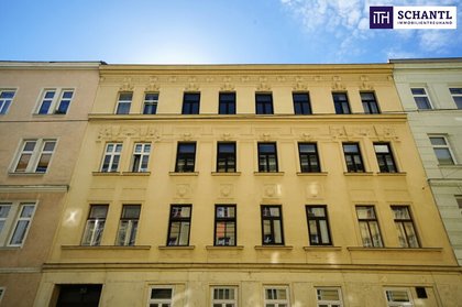 Wohnungen in 1170 Wien