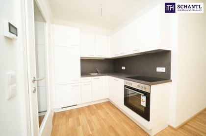 Wohnungen in 8401 Kalsdorf bei Graz