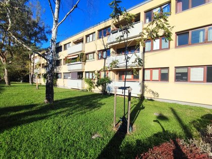 NÄHE REICHE LIESING - Sanierungsbedürftige 3-Zimmer Wohnung mit Loggia NÄHE REICHE LIESING - Sanierungsbedürftige 3-Zimmer Wohnung mit Loggia