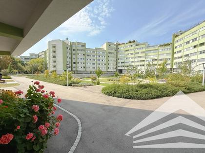 Wohnungen in 4040 Haselgraben