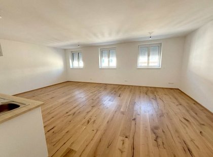 Wohnungen in 1020 Wien
