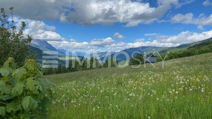 MAJESTÄTISCHE AUGENWEIDE MIT TRAUMHAFTER AUSSICHT IN RUHELAGE MAJESTÄTISCHE AUGENWEIDE MIT TRAUMHAFTER AUSSICHT IN RUHELAGE
