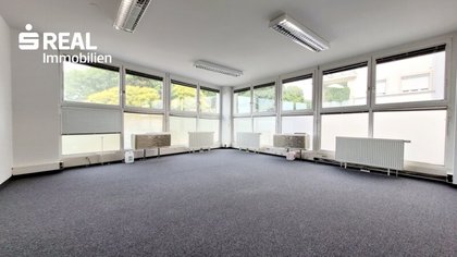 GERÄUMIGES BÜRO MIT GRÜNBLICK GERÄUMIGES BÜRO MIT GRÜNBLICK